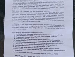 Pernyataan sikap